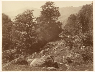 La Vallée du Lys (Coup de Vent) af Aimé Civiale