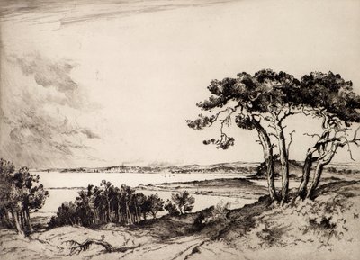 Poole (ætsning) af Albany E. Howarth