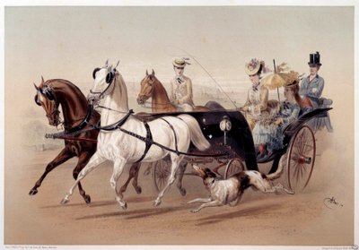 A Victoria Car and the horses of Tarbes Tryk af Albert Adam (1833-?) Paris fra det 19. århundrede, Musee Carnavalet af Albert Adam