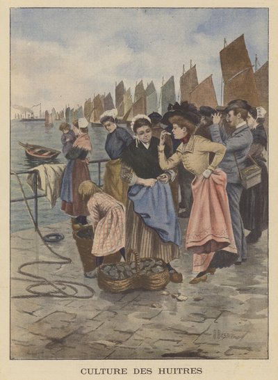 Høst østers i Cancale, Bretagne af Albert Besnou