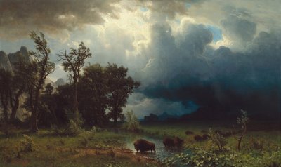 Buffalo Trail: The Impening Storm af Albert Bierstadt