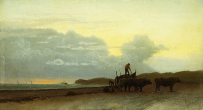 Coastal View, Newport, 1861 af Albert Bierstadt