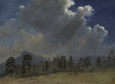 Grantræer og stormskyer, ca. 1870 (olie på papir monteret på lærred) af Albert Bierstadt