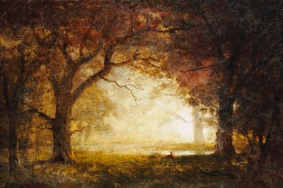 Skov solopgang af Albert Bierstadt
