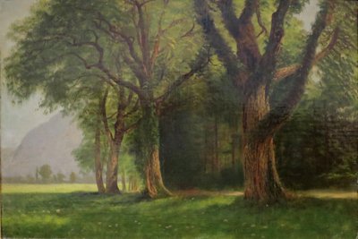 I Yosemite-dalen af Albert Bierstadt