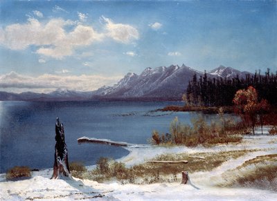 Lake Tahoe af Albert Bierstadt