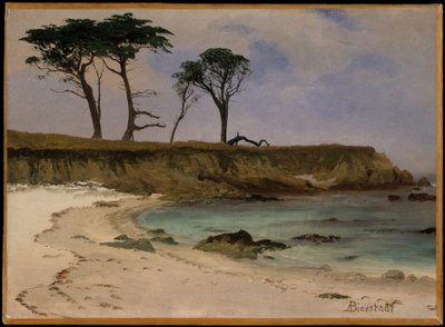 Sea Cove af Albert Bierstadt
