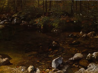 Shady Pool, White Mountains, New Hampshire, ca. 1869. af Albert Bierstadt