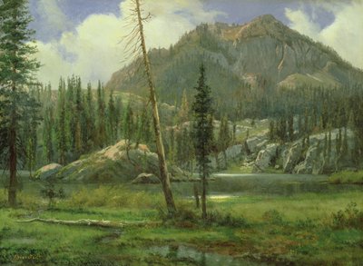 Sierra Nevada-bjergene af Albert Bierstadt