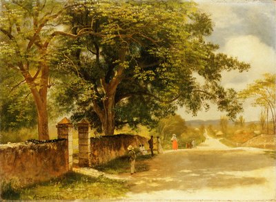 Gade i Nassau, ca. 1878 af Albert Bierstadt
