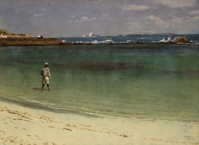 Kystscene i Vestindien af Albert Bierstadt