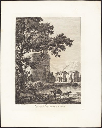 Plautius