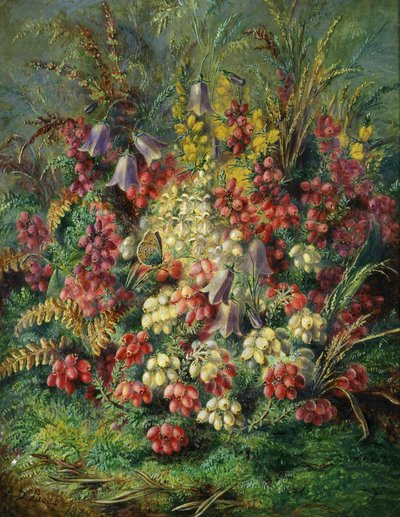 Klokkeblomster, askelyng, hedelyng og sommerfugl. Maleri af Albert Durer Lucas (1828-1918) af Albert Durer Lucas