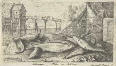 Alvers på en flodbred alburnus. Ables eller Ablettes. (titel på objekt) Fisk og andre havdyr - ferskvands anden serie (serietitel) Seconde partie de Poissons d