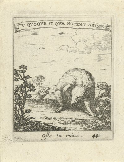 Grævling undslipper ulve Moralizing Love Emblems (serietitel) Devises et emblesmes d
