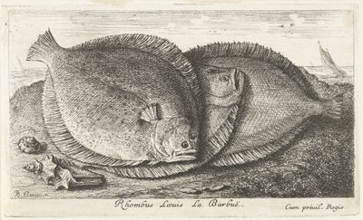 Tre unger på stranden Rhombus Laeuis La Barbuë (titel på objektet) Fisk og andre havdyr - saltvands tredje serie (serietitel) Poissons de mer (serietitel) af Albert Flamen