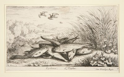 Epelanus, L af Albert Flamen