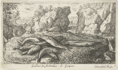 Kutlinger på en flodbred Gabius siue fundulus. Le Goujon. (titel på objekt) Fisk og andre havdyr - ferskvands anden serie (serietitel) Seconde partie de Poissons d