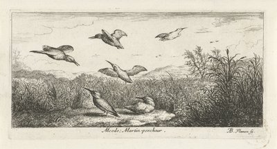 Landskab med isfugle alcedo; Martin-pecrack. (titel på objekt) Fuglebog (serietitel) Livre d