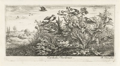 Landskab med guldfinke i tidsel Carduelis; Chardonneret. (titel på objekt) Fuglebog (serietitel) Livre d