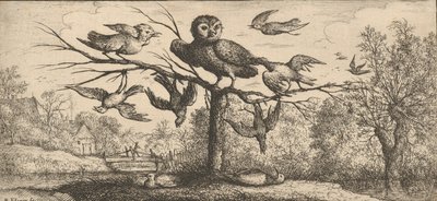 Monedula, Chouëtte Uglen: Livre d