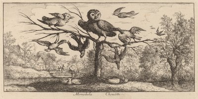 Monedula, Uglen af Albert Flamen
