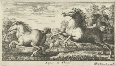 Heste Equus le Cheval (titel på objekt) Forskellige dyrearter (serietitel) af Albert Flamen