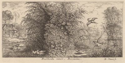 Rusticula minor, Snipe af Albert Flamen
