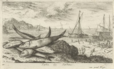 Sardiner på stranden Sarda, La Sardine. (titel på objekt) Fisk og andre havdyr - saltvands første serie (serietitel) Diverse Especes de Poissons de mer (serietitel) af Albert Flamen