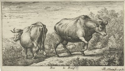 tyre Bos le Boeuf (titel på objekt) Forskellige dyrearter (serietitel) af Albert Flamen