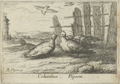 To duer ved et hegn Columbus. Due. (titel på objekt) Tretten fuglearter (serietitel) Diuersae Auium Specie (serietitel) af Albert Flamen