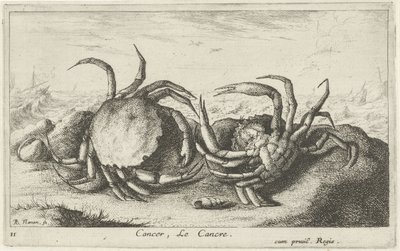 To krabber på stranden Cancer, Le Cancre (titel på objekt) Fisk og andre havdyr - saltvands første serie (serietitel) Diverse Especes de Poissons de mer (serietitel) af Albert Flamen