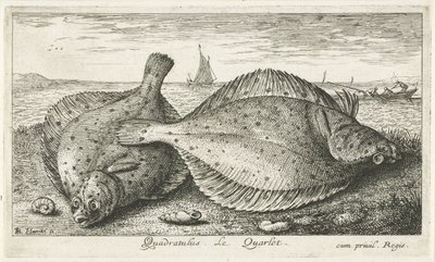To rødspætter på stranden Quadratulus. LeQuarlet. (titel på objekt) Fisk og andre havdyr - saltvands tredje serie (serietitel) Poissons de mer (serietitel) af Albert Flamen
