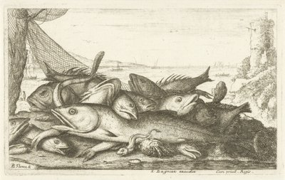 Eremitkrebs fiskeri Forskellige fiskearter (serietitel) Diverse Especes De Poissons tant de Mer, que d