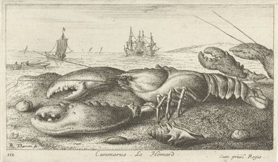 Hummer på stranden Cammarus. LeHomard (titel på objekt) Fisk og andre havdyr - saltvands første serie (serietitel) Diverse Especes de Poissons de mer (serietitel) af Albert Flamen