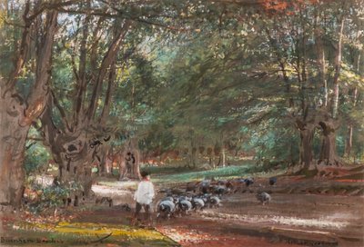 Burnham Beeches (akvarel og bodycolour) af Albert Goodwin