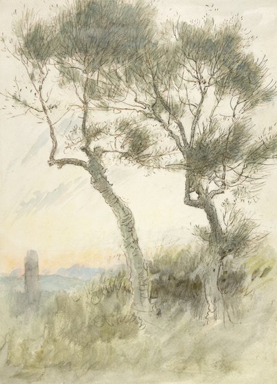 Studie af to træer af Albert Goodwin