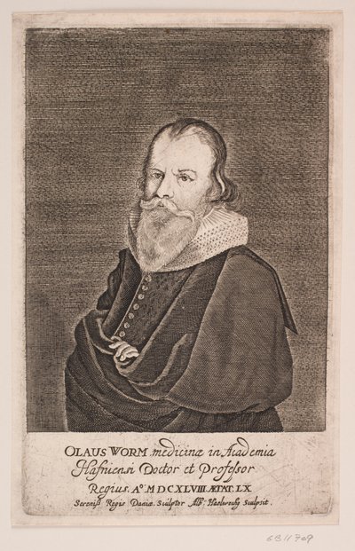 Ole Worm af Albert Haelwegh