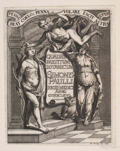 Titelblad til Simon Paulli, "Quadripartitum Botanicum", 1667 af Albert Haelwegh