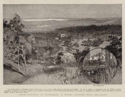 Fåreavl i Australien, en modelstation nær Ballarat af Albert Henry Fullwood