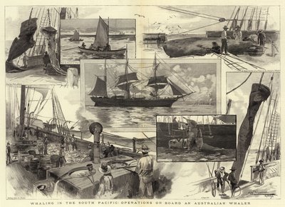 Hvalfangst i det sydlige Stillehav, operationer om bord på en australsk hvalfanger af Albert Henry Fullwood