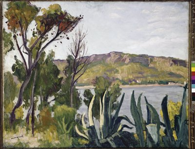 Landskab med agave. (olie på lærred af Albert Marquet