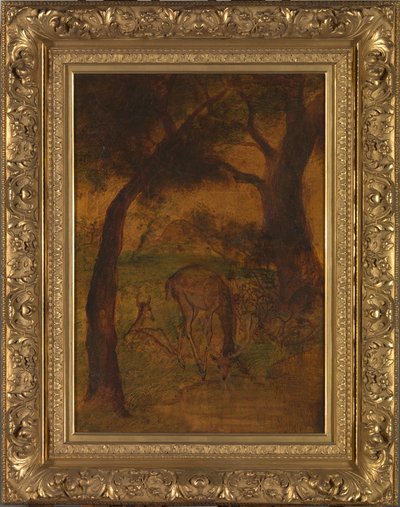 En kronhjort, der drikker, ca. 1870