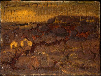 Udgangsforbudstid, inden 1882. af Albert Pinkham Ryder