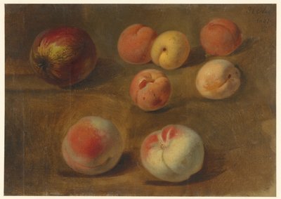 Stilleben med æble, ferskner og abrikoser af Albertus Steenbergen