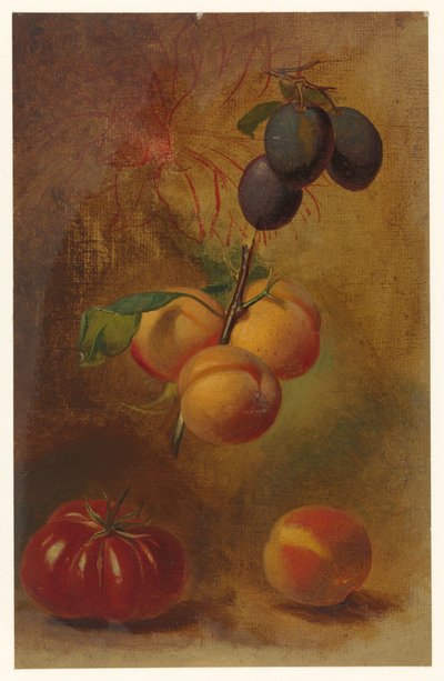 Stilleben med blommer, abrikoser og tomat af Albertus Steenbergen