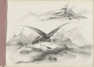 Ørn flyver over en kyst med bjerge af Albertus van Beest