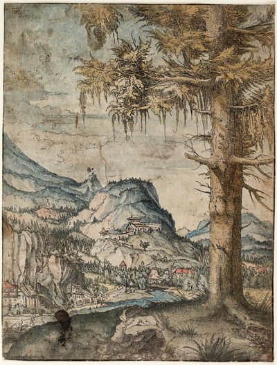 Tysk: Den store gran Store gran af Albrecht Altdorfer