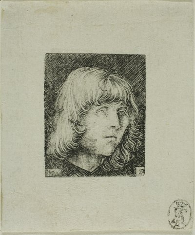 Leder af en ung mand af Albrecht Altdorfer
