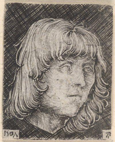 Hovedet af en ung mand af Albrecht Altdorfer